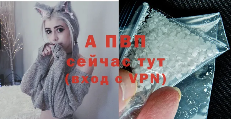 A PVP СК  Опочка 