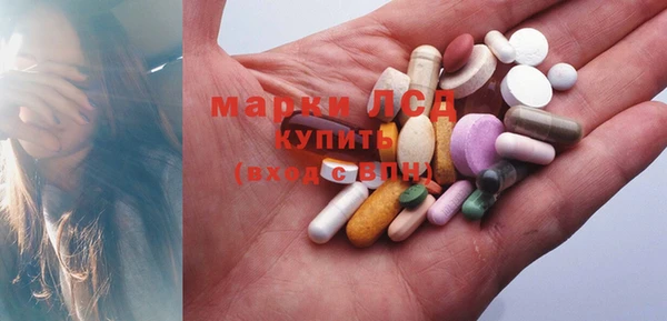 PSILOCYBIN Новозыбков
