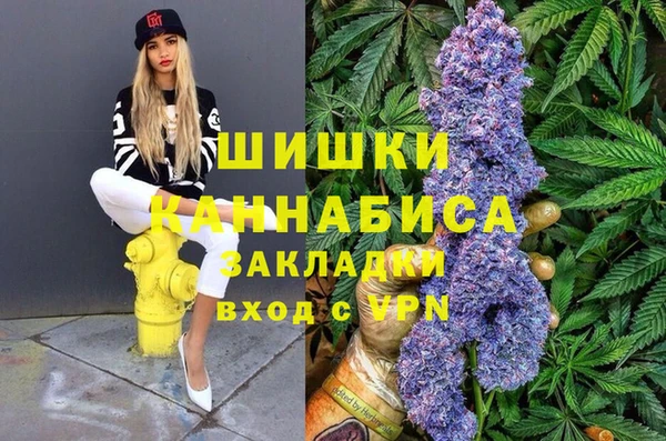 PSILOCYBIN Новозыбков