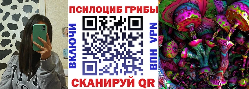 Псилоцибиновые грибы GOLDEN TEACHER  Опочка 